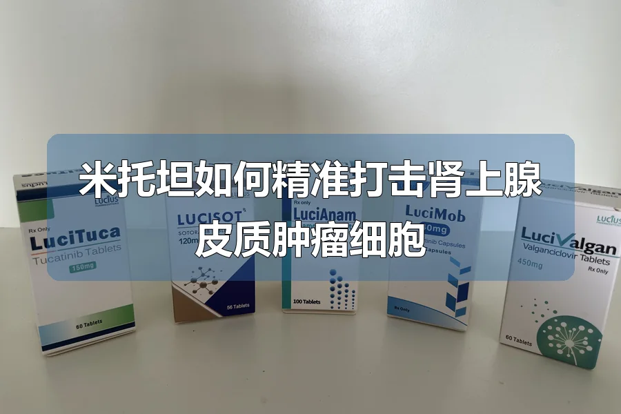 米托坦如何精准打击肾上腺皮质肿瘤细胞